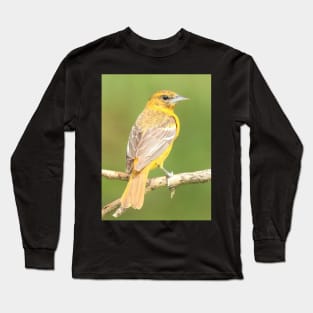 Baltimore Oriole bird with orange white feathers and green soft out of focus background Long Sleeve T-Shirt